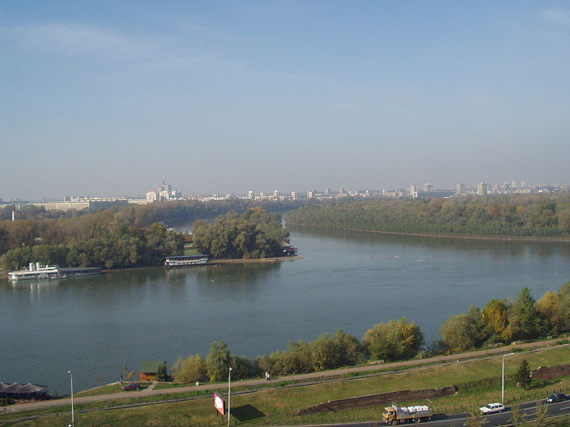 Fichier:Confluent Danube-Save.JPG