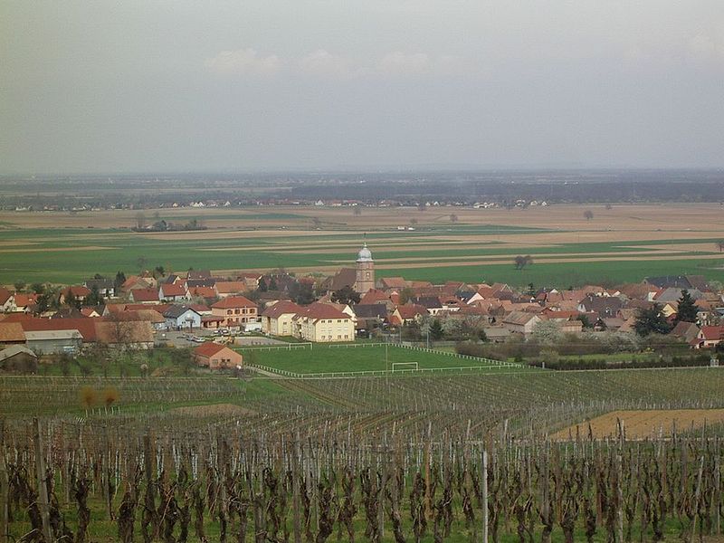Fichier:Plaine d'Alsace dans le Haut-Rhin.jpg