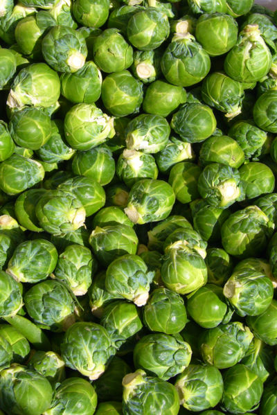 Fichier:Brussels sprout closeup.jpg