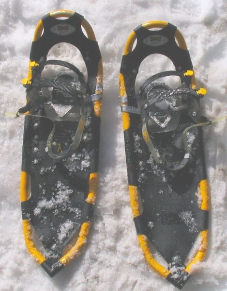 Fichier:Atlas snowshoes.jpg