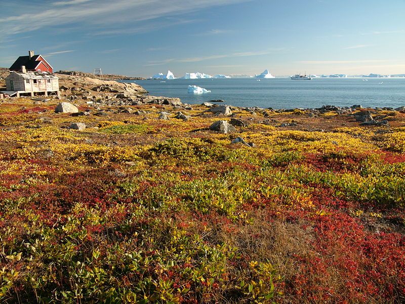 Fichier:Greenland scoresby-sydkapp hg.jpg