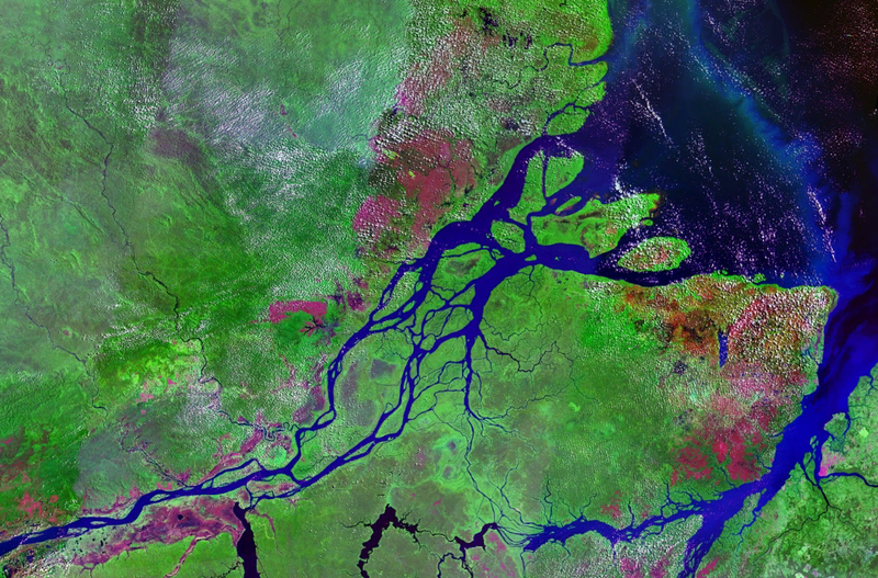 Fichier:Mouths of amazon geocover 1990.png
