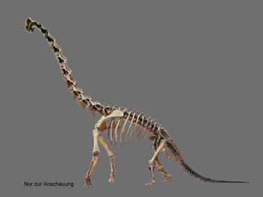 Fichier:Brachiosaurus2.jpg