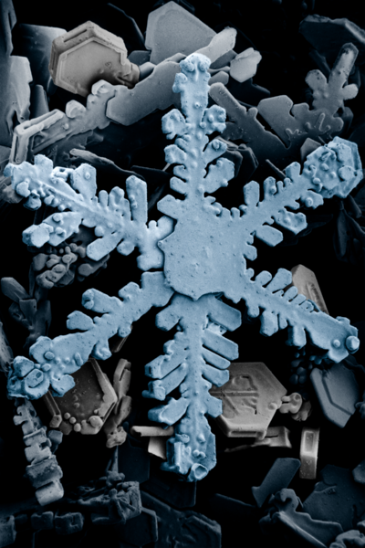 Fichier:Snow crystals 2b.png