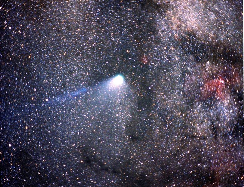Fichier:Comet Halley.jpg