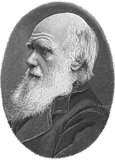 Fichier:Darwin.jpg