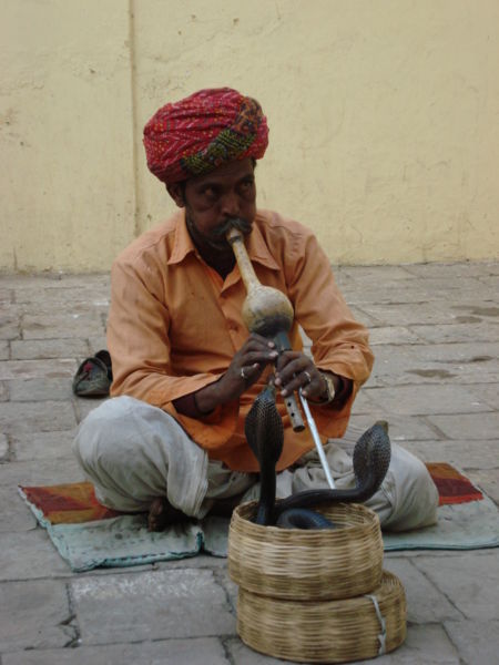 Fichier:Charmeur de serpents à Jaipur (2).JPG