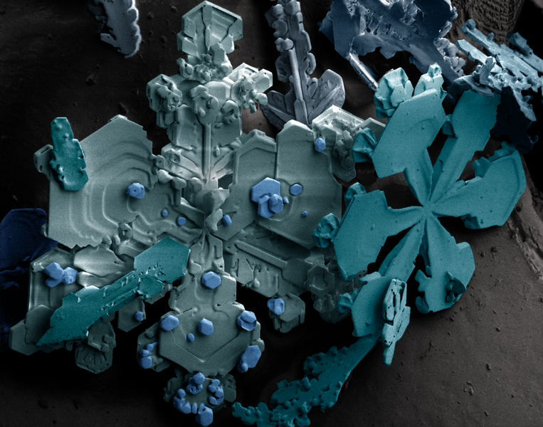 Fichier:Snow crystals.png