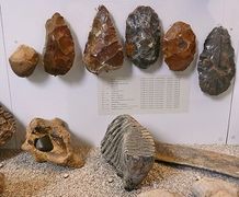 Outils du Paléolithique, avec dent et ossements de mammouth, trouvés à Flins-sur-Seine (Yvelines).