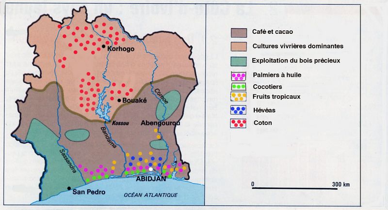 Fichier:Côte-d'Ivoire-activités agricoles.jpg