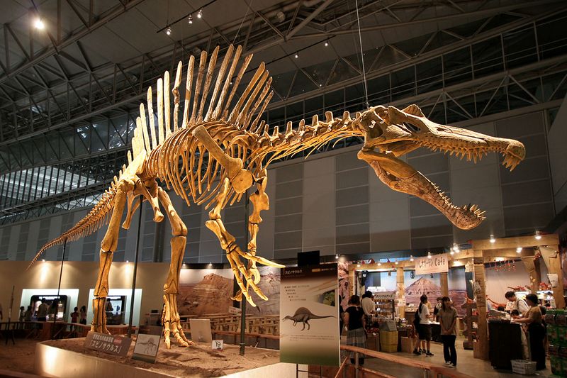 Fichier:Spinosaurus.jpg
