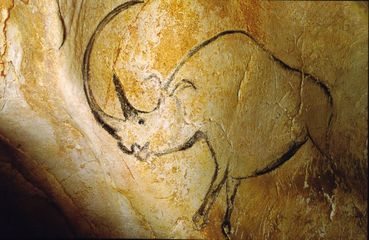 Rhinocéros de la grotte Chauvet
