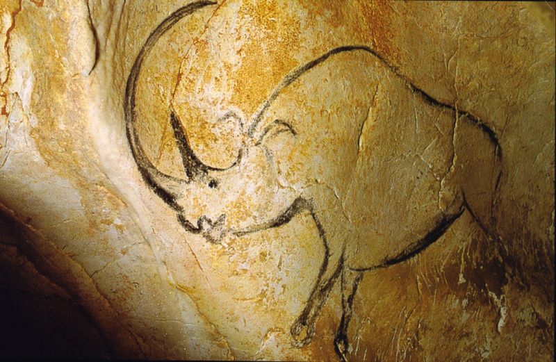 Fichier:Rhinocéros grotte Chauvet.jpg