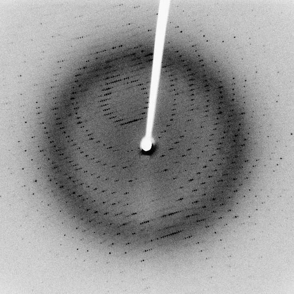 Fichier:X-ray diffraction pattern 3clpro.jpg