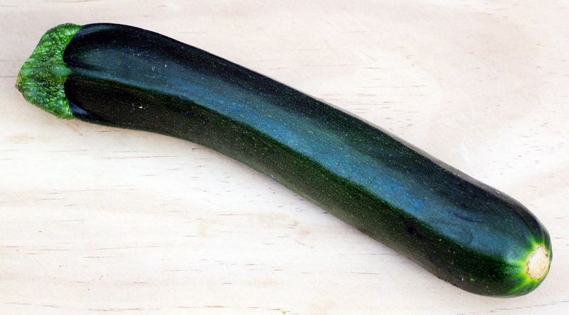 Fichier:Courgette-commons.jpg