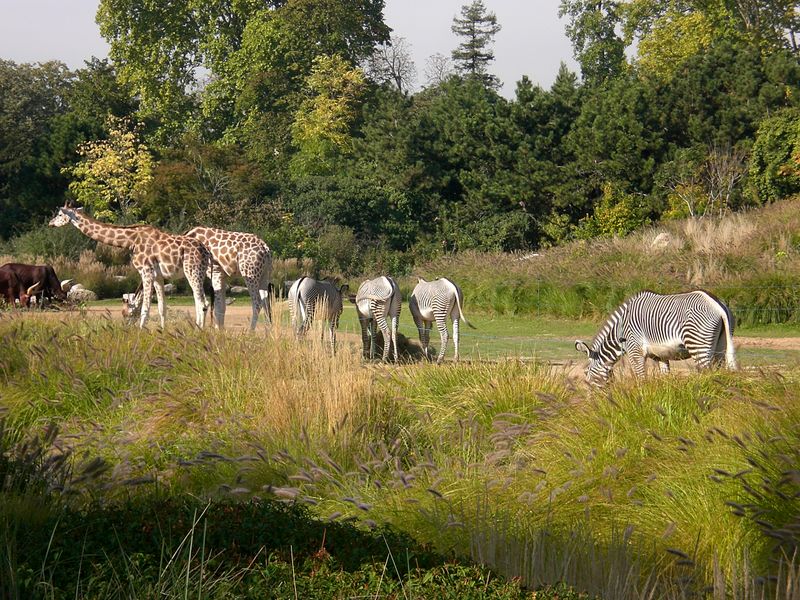 Fichier:Parc tete or animaux zoo.jpg