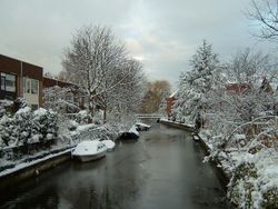Snow in Holland.jpg
