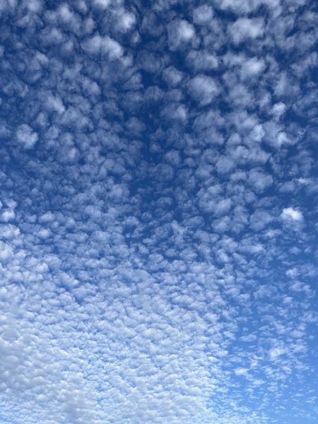 Fichier:Bande de nuages.jpeg