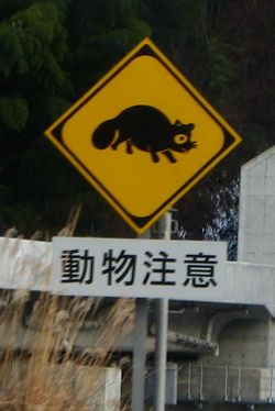 Tanuki crossing.jpg