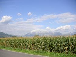 Field, corn, Liechtenstein, Mountains, Alps, Vaduz, sky, clouds, landscape.jpg