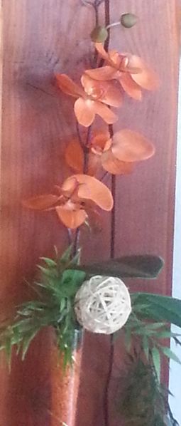 Fichier:Orchidée orange.jpg