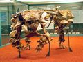 Les ankylosaures, comme ce Saichainia, étaient une famille de dinosaures au corps également recouvert de plaques osseuses, ou ostéodermes.