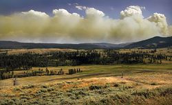 Wildfire in Yellowstone Natinal Park produces Pyrocumulus clouds1.jpg