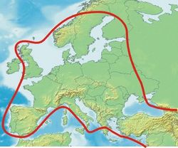 Répartition des chevreuils en Europe...