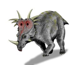 Dessin d'un styracosaure, un dinosaure cératopsien