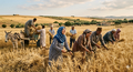 تصغير للنسخة بتاريخ ٢٢:٤٦، ٣ يونيو ٢٠٢٦