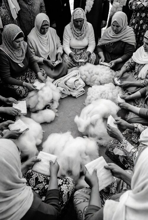 ملف:صورة عدد 9.jpg