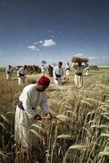تصغير للنسخة بتاريخ ١٦:٣٩، ٣ يونيو ٢٠٢٦