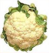 Chou-fleur