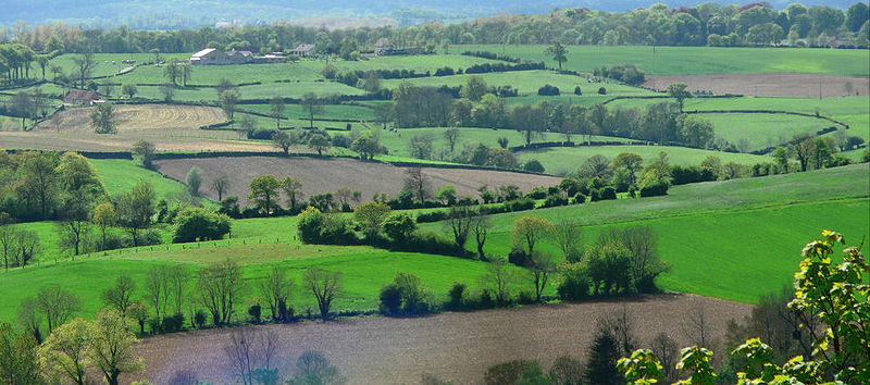 Bocage dans le Boulonnais