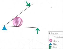 Le casse-noix : levier de 2ème classe.