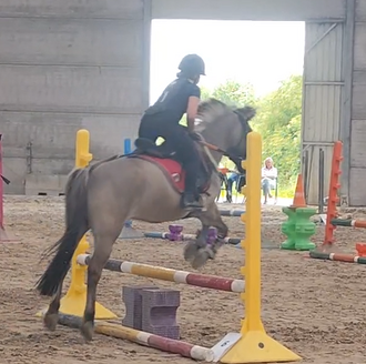 le concours que j'ai fait le 14 mai avec Tarzan