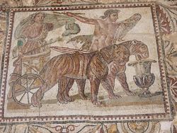 Mosaïque d'un char tiré par 2 léopard de Berbérie, musée de Cherchell, Algérie.