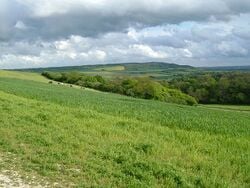 Région de climat océanique (Angleterre). Photographie prise en mai.