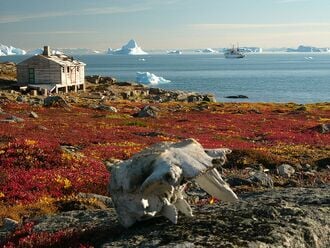 Un abri en bois dans l'Est de l'île (au premier plan, le crâne d'un bœuf musqué ; à l'arrière dans le fjord, un navire de recherche russe).