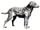 Images sur les chiens