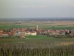 La plaine d'Alsace dans le Haut-Rhin