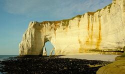 Falaises dans la craie avec rognons de silex. Étretat (Seine-Maritime)