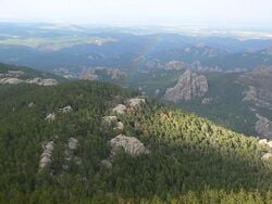 Les Black Hills, montagnes du Dakota du Sud. Photographie prise en juillet.