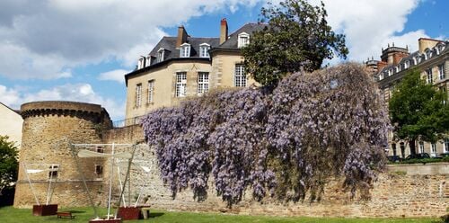 Les remparts et la tour Duchesne