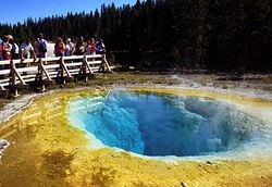 Yellowstone : Morning Glor Pool, bassin d'eau chaude.