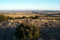 Le causse du Larzac. Photographie prise au début janvier.