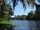 Images sur le bayou
