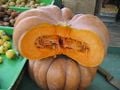 Comme les carottes, les courges, notamment la citrouille, sont riches en carotène.