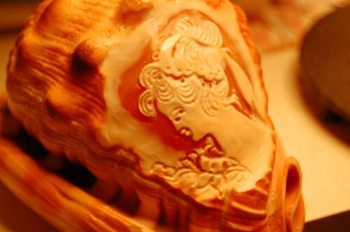 Un portrait gravé selon la technique du camée sur la coquille d'un casque.