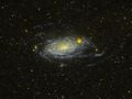 M63